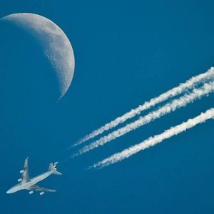 Meet your Posher, Edwin